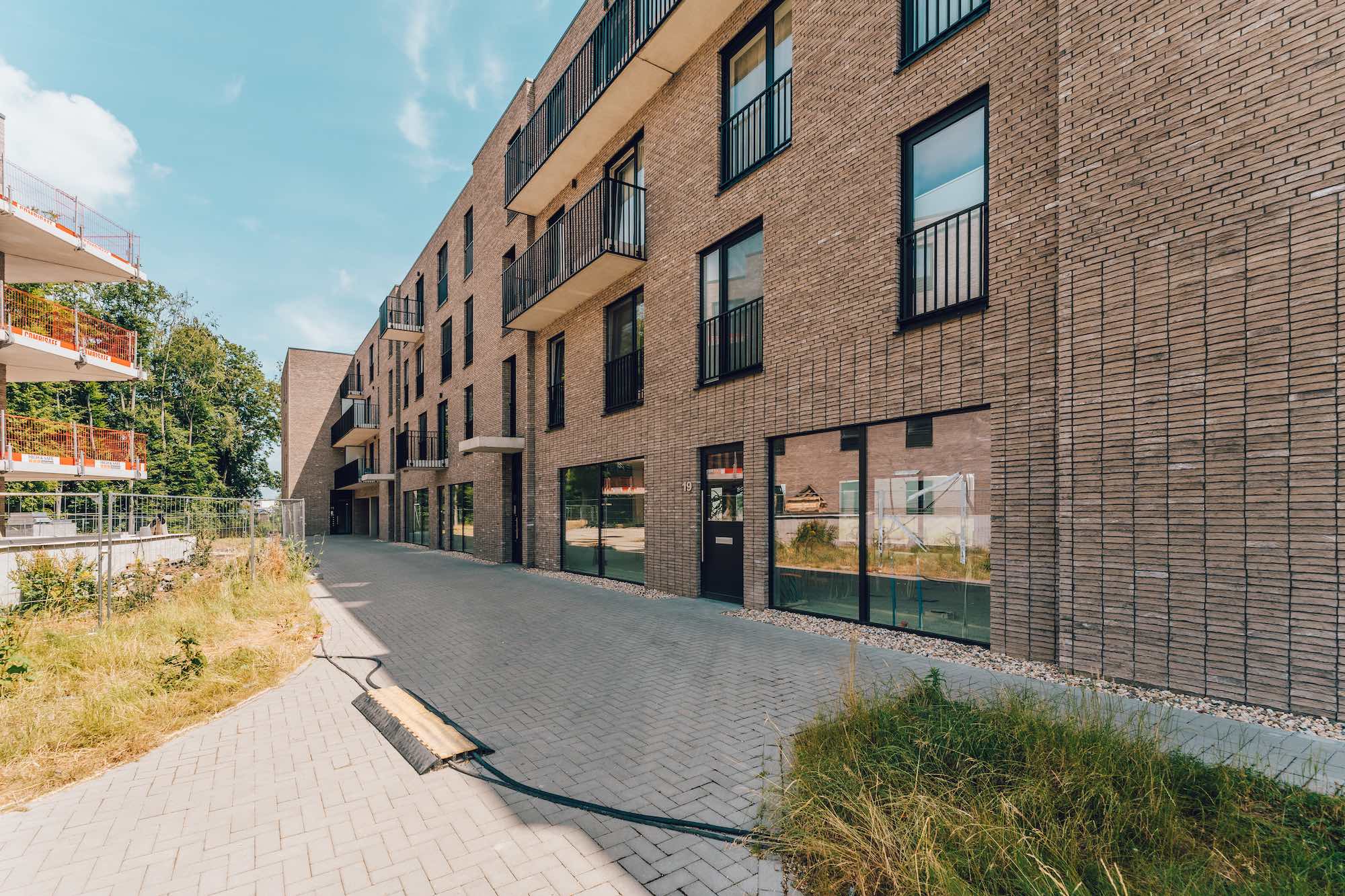 New Vision Halle New Vision Halle